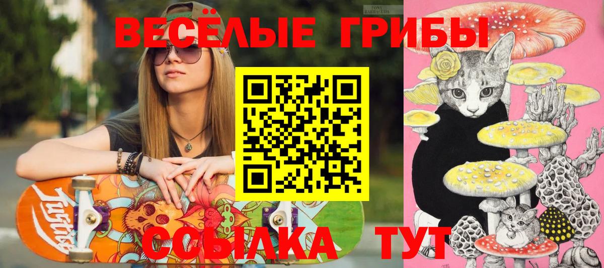 Галлюциногенные грибы прущие грибы  Вход с VPN  Псилоцибиновые грибы мухоморы  Ульяновск 